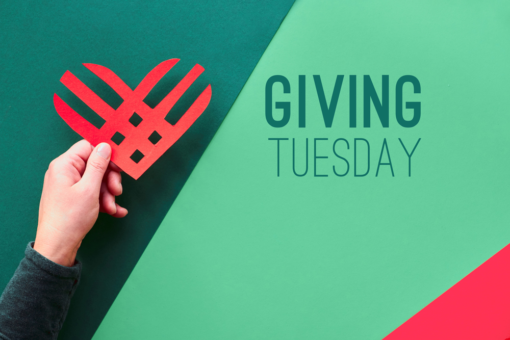GivingTuesday 2024 How to Give Back on This National Day of Giving